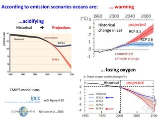 Historical
change in SST
RCP 2.6
RCP 8.5
projected
... warmingAccording to emission scenarios oceans are:
CMIP5 model runs
Gattuso et al., 2015
WGI Figure 6.30
... losing oxygen
Historical projected
committed
climate change
Historical  Projections
...acidifying
committed
 