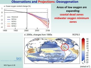 WGI Figure 6.30
Observations and Projections: Deoxygenation
Areas of low oxygen are
expanding:
coastal dead zones
midwater oxygen minimum
zones
 