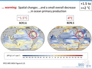 Spatial changes ...and a small overall decrease
....in ocean primary production
IPCC AR5 WGII Figure 6.13
4°C~1.5°C
+1.5 to
>>2 °C... warming:
 