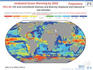 CHANGE IN MAXIMUM CATCH POTENTIAL (2051-2060 COMPARED TO 2001-2010, SRES A1B, 2°C warming of global surface T
0.7°C warmer Sea Surface T)
<50% -21 – 50% -6 – 20% -1 – 5% No data 0 – 4% 5 – 19% 20 – 49% 50 – 100% >100%
WGII, 6-14, SPM.6, SYR 2.6
2°CProjections
2051-60: fish and invertebrate biomass and diversity displaced and reduced at
low latitudes
Unabated Ocean Warming by 2050
 