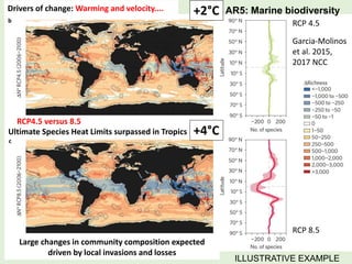 Ipcc Ar5 Risk SBSTA - IPCC Special Event - Projected climate change, potential ...