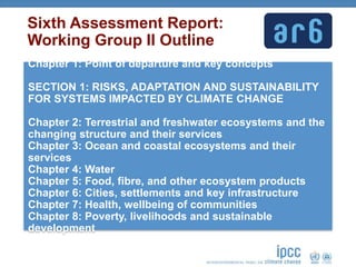 Sixth Assessment Report:
Working Group II Outline
Chapter 1: Point of departure and key concepts
SECTION 1: RISKS, ADAPTAT...