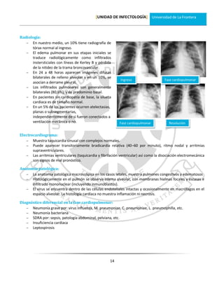 [UNIDAD DE INFECTOLOGÍA] Universidad de La Frontera



Radiología:
    En nuestro medio, un 10% tiene radiografía de
      tórax normal al ingreso.
    El edema pulmonar en sus etapas iniciales se
      traduce radiológicamente como infiltrados
      instersticiales con líneas de Kerley B y pérdida
      de la nitidez de la trama broncovascular.
    En 24 a 48 horas aparecen imágenes difusas
      bilaterales de relleno alveolar y en un 10%, se
                                                             Ingreso                   Fase cardiopulmonar
      asocian a derrame pleural.
    Los infiltrados pulmonares son generalmente
      bilaterales (80,6%), y de predominio basal.
    En pacientes sin cardiopatía de base, la silueta
      cardiaca es de tamaño normal.
    En un 5% de los pacientes ocurren atelectasias,
      planas o subsegmentarias,
      independientemente de si fueron conectados a
      ventilación mecánica o no.                            Fase cardiopulmonar           Resolución


Electrocardiograma:
    Muestra taquicardia sinusal con complejos normales.
    Puede aparecer transitoriamente bradicardia relativa (40–60 por minuto), ritmo nodal y arritmias
       supraventriculares.
    Las arritmias ventriculares (taquicardia y fibrilación ventricular) así como la disociación electromecánica
       son signos de mal pronóstico.

Anatomía patológica:
    La anatomía patológica macroscópica en los casos letales, muestra pulmones congestivos y edematosos
    Histológicamente en el pulmón se observa edema alveolar, con membranas hialinas focales y escasas e
      infiltrado mononuclear (incluyendo inmunoblastos).
    El virus se encuentra dentro de las células endoteliales intactas y ocasionalmente en macrófagos en el
      espacio alveolar. La histología cardíaca no muestra inflamación ni necrosis.

Diagnóstico diferencial en la fase cardiopulmonar:
    Neumonía grave por: virus influenza, M. pneumoniae. C. pneumoniae, L. pneumophilla, etc.
    Neumonía bacteriana
    SDRA por: sepsis, patología abdominal, pelviana, etc.
    Insuficiencia cardiaca
    Leptospirosis




                                                      14
 