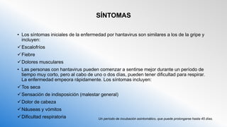 SÍNTOMAS
• Los síntomas iniciales de la enfermedad por hantavirus son similares a los de la gripe y
incluyen:
Escalofríos
Fiebre
Dolores musculares
• Las personas con hantavirus pueden comenzar a sentirse mejor durante un período de
tiempo muy corto, pero al cabo de uno o dos días, pueden tener dificultad para respirar.
La enfermedad empeora rápidamente. Los síntomas incluyen:
Tos seca
Sensación de indisposición (malestar general)
Dolor de cabeza
Náuseas y vómitos
Dificultad respiratoria Un período de incubación asintomático, que puede prolongarse hasta 45 días.
 
