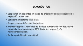 DIAGNÓSTICO
• Sospechar en pacientes en etapa de pródromo con antecedente de
exposición a roedores.
• Solicitar hemograma y Rx Tórax.
• Sospechoso de Infección Hantavirus.
• Trombocitopenia, Recuento de blancos aumentado con desviación
izquierda, inmunoblastos > 10% (linfocitos atípicos) y/o
hemoconcentración.
• Rx Tx: con infiltrado intersticial.
 