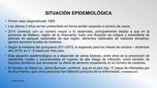 SITUACIÓN EPIDEMIOLÓGICA
• Primer caso diagnosticado 1993
• Los últimos 3 años se han presentado en forma similar respecto a número de casos.
• 2014 comenzó con un número mayor a lo observado, principalmente debido a que en la
provincia de Malleco, región de la Araucanía, hubo una floración de coligue y sobreoferta de
piñones en parques nacionales de esa región, alimentos habituales de roedores silvestres,
generó aumento locales de roedores.
• Según la mediana del quinquenio 2011-2015, lo esperado para los meses de octubre – diciembre
año 2016, es 3 - 8 casos por mes país.
• Esta situación epidemiológica va a depender de varios factores, entre otros de la prevención de
residentes rurales y excursionistas en lugares de alto riesgo de infección, como también de
factores climáticos que favorezcan la oferta de alimento impactando en el número de roedores.
• El ministro de Salud (s), Jaime Burrows, confirmó que en el país hay 17 casos de infectados por
el virus Hanta y que cinco personas han fallecido producto de la enfermedad. (07 FEBRERO 2017)
 
