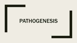 PATHOGENESIS
 