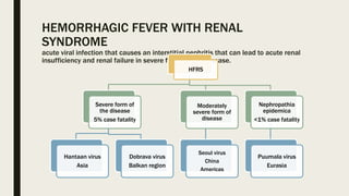 HEMORRHAGIC FEVER WITH RENAL
SYNDROME
acute viral infection that causes an interstitial nephritis that can lead to acute renal
insufficiency and renal failure in severe forms of the disease.
HFRS
Severe form of
the disease
5% case fatality
Hantaan virus
Asia
Dobrava virus
Balkan region
Moderately
severe form of
disease
Seoul virus
China
Americas
Nephropathia
epidemica
<1% case fatality
Puumala virus
Eurasia
 