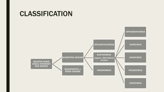 CLASSIFICATION
NEGATIVE SENSE
SINGLE STRANDED
RNA VIRUSES
SEGMENTED GENOME
ORTHOMYXOVIRIDAE
BUNYAVIRIDAE
(approx. 300 distinct
viruses)
ORTHOBUNYAVIRUS
NAIROVIRUS
HANTAVIRUS
PHLEBOVIRUS
TOSPOVIRUS
ARENAVIRIDAE
MONOPARTITE (-)
SENSE GENOME
 