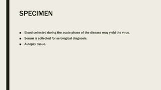 SPECIMEN
■ Blood collected during the acute phase of the disease may yield the virus.
■ Serum is collected for serological diagnosis.
■ Autopsy tissue.
 