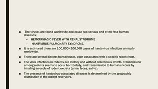 ■ The viruses are found worldwide and cause two serious and often fatal human
diseases:
– HEMORRHAGIC FEVER WITH RENAL SYNDROME
– HANTAVIRUS PULMONARY SYNDROME.
■ It is estimated there are 100,000–200,000 cases of hantavirus infections annually
worldwide.
■ There are several distinct hantaviruses, each associated with a specific rodent host.
■ The virus infections in rodents are lifelong and without deleterious effects. Transmission
among rodents seems to occur horizontally, and transmission to humans occurs by
inhaling aerosols of rodent excreta (urine, feces, saliva).
■ The presence of hantavirus-associated diseases is determined by the geographic
distribution of the rodent reservoirs.
 