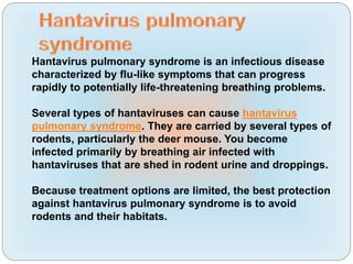 Hantavirus pulmonary syndrome is an infectious disease
characterized by flu-like symptoms that can progress
rapidly to potentially life-threatening breathing problems.
Several types of hantaviruses can cause hantavirus
pulmonary syndrome. They are carried by several types of
rodents, particularly the deer mouse. You become
infected primarily by breathing air infected with
hantaviruses that are shed in rodent urine and droppings.
Because treatment options are limited, the best protection
against hantavirus pulmonary syndrome is to avoid
rodents and their habitats.
 
