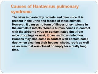 The virus is carried by rodents and deer mice. It is
present in the urine and faeces of these animals.
However, it causes no form of illness or symptoms in
the animals it infects. When a human comes in contact
with the airborne virus or contaminated dust from
mice droppings or nest, it can lead to an infection.
Humans may also come in contact with contaminated
dust when cleaning their houses, sheds, roofs as well
as an area that was closed or empty for a really long
time.
 