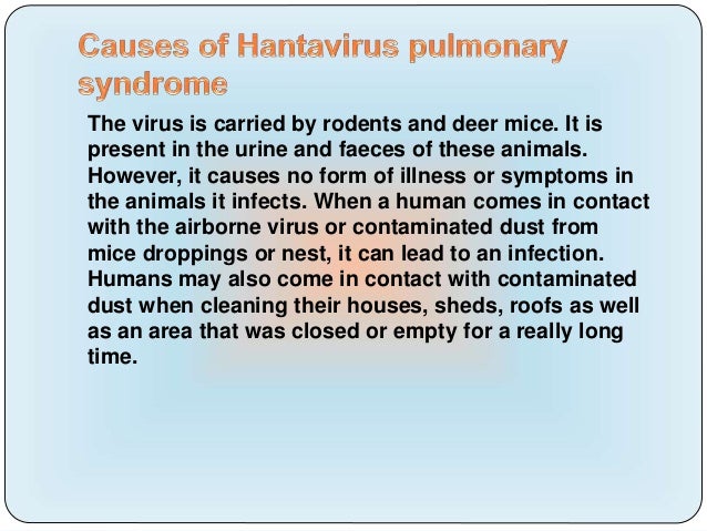 Hantavirus pulmonary syndrome