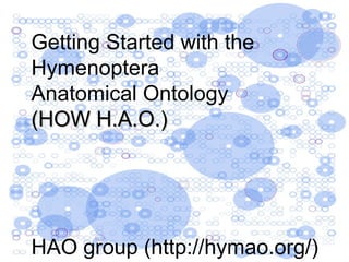 Getting Started with the  Hymenoptera Anatomical Ontology (HOW H.A.O.) HAO group (http://hymao.org/) 