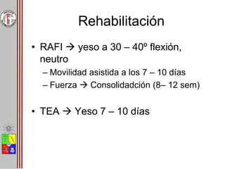 Rehabilitación
• RAFI  yeso a 30 – 40º flexión,
neutro
– Movilidad asistida a los 7 – 10 días
– Fuerza  Consolidadción (8– 12 sem)
• TEA  Yeso 7 – 10 días
 