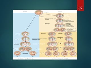 HAP- cellular level of organization.pptx