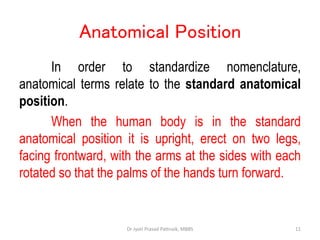 Natural Human Position Human Anatomy and Physiology : levels of structural organization | PPT