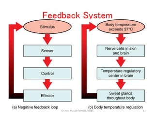 Feedback System
17
Dr Jyoti Prasad Pattnaik, MBBS
 