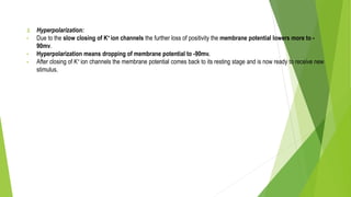 3. Hyperpolarization:
• Due to the slow closing of K+ ion channels the further loss of positivity the membrane potential lowers more to -
90mv.
• Hyperpolarization means dropping of membrane potential to -90mv.
• After closing of K+ ion channels the membrane potential comes back to its resting stage and is now ready to receive new
stimulus.
 