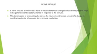 NERVE IMPULSE
 A nerve Impulse is defined as a wave of electrical chemical changes across the neuron that helps
in the generation of the action potential in response to the stimulus.
 This transmission of a nerve impulse across the neuron membrane as a result of a change in
membrane potential is known as Nerve impulse conduction.
 