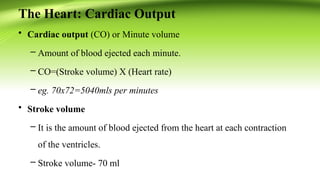 Comprehensive Overview of the Human Cardiovascular System: Anatomy ...