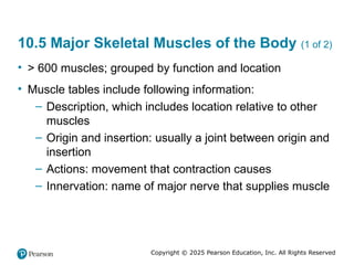 Comprehensive Overview of Skeletal Muscle Anatomy and Mechanics | PPTX