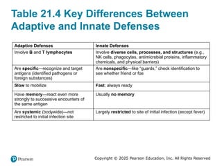Chapter 21 the immune system anatomy and physiology | PPTX