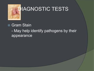 DIAGNOSTIC TESTS

   Gram Stain
    - May help identify pathogens by their
    appearance
 