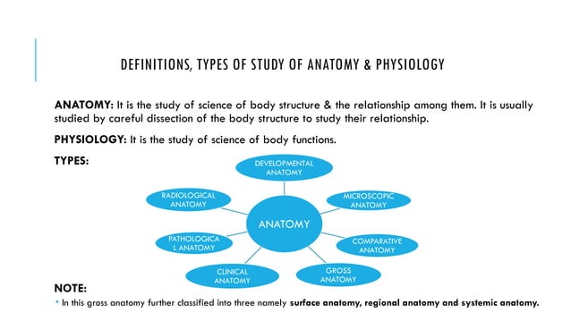 HUMAN ANATOMY AND PHYSIOLOGY CHAPTER 1.pptx