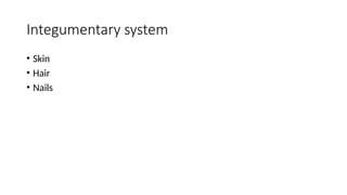 Integumentary system
• Skin
• Hair
• Nails
 