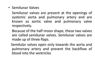 • Semilunar Valves
Semilunar valves are present at the openings of
systemic aorta and pulmonary artery and are
known as aortic valve and pulmonary valve
respectively.
Because of the half moon shape, these two valves
are called semilunar valves. Semilunar valves are
made up of three flaps.
Semilular valves open only towards the aorta and
pulmonary artery and prevent the backflow of
blood into the ventricles
 