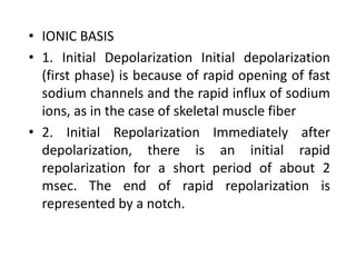 • IONIC BASIS
• 1. Initial Depolarization Initial depolarization
(first phase) is because of rapid opening of fast
sodium channels and the rapid influx of sodium
ions, as in the case of skeletal muscle fiber
• 2. Initial Repolarization Immediately after
depolarization, there is an initial rapid
repolarization for a short period of about 2
msec. The end of rapid repolarization is
represented by a notch.
 