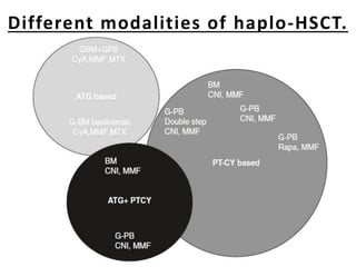 Different modalities of haplo-HSCT.
 