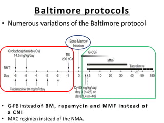 Baltimore protocols
• Numerous variations of the Baltimore protocol
• G-PB instead of BM, rapamycin and MMF instead of
a CNI
• MAC regimen instead of the NMA.
 