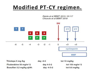 Modified PT-CY regimen.
 