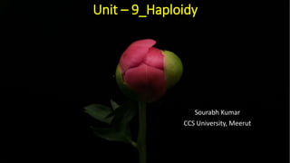 Unit – 9_Haploidy
Sourabh Kumar
CCS University, Meerut
 