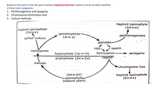 Based on the point in the life cycle involved, haploid production systems can be broadly classified
in three main categories:-
1. Parthenogenesis and apogamy
2. Chromosome elimination and
3. Culture methods
 