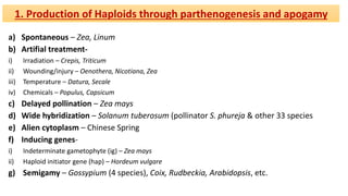 1. Production of Haploids through parthenogenesis and apogamy
a) Spontaneous – Zea, Linum
b) Artifial treatment-
i) Irradiation – Crepis, Triticum
ii) Wounding/injury – Oenothera, Nicotiana, Zea
iii) Temperature – Datura, Secale
iv) Chemicals – Populus, Capsicum
c) Delayed pollination – Zea mays
d) Wide hybridization – Solanum tuberosum (pollinator S. phureja & other 33 species
e) Alien cytoplasm – Chinese Spring
f) Inducing genes-
i) Indeterminate gametophyte (ig) – Zea mays
ii) Haploid initiator gene (hap) – Hordeum vulgare
g) Semigamy – Gossypium (4 species), Coix, Rudbeckia, Arabidopsis, etc.
 