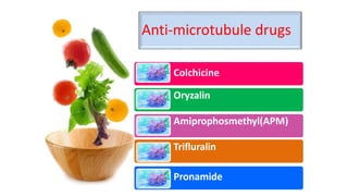 Anti-microtubule drugs
Colchicine
Oryzalin
Amiprophosmethyl(APM)
Trifluralin
Pronamide
 