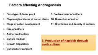 Factors affecting Androgenesis
1. Genotype of donor plant
2. Physiological status of donor plants
3. Stage of pollen development
4. Size of anthers
5. Anther wall factors
6. Culture medium
7. Growth Regulators
8. Cultured environment
9. Pre treatment of anthers
10. Dissection of anther
11. Orientation and density of anthers
3. Production of Haploids through
ovule culture
 
