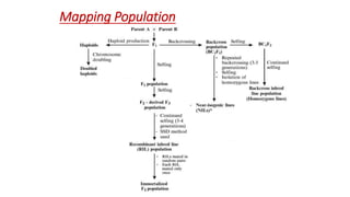 Mapping Population
 