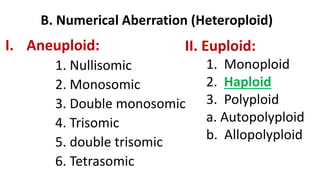B. Numerical Aberration (Heteroploid)
I. Aneuploid:
1. Nullisomic
2. Monosomic
3. Double monosomic
4. Trisomic
5. double trisomic
6. Tetrasomic
II. Euploid:
1. Monoploid
2. Haploid
3. Polyploid
a. Autopolyploid
b. Allopolyploid
 