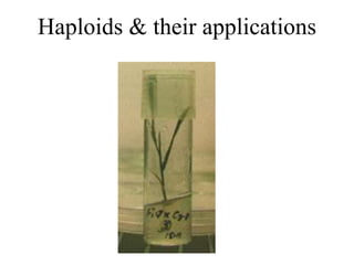 Haploids & their applications
 
