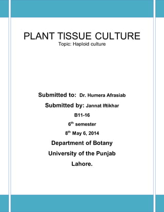 PLANT TISSUE CULTURE
Topic: Haploid culture
Submitted to: Dr. Humera Afrasiab
Submitted by: Jannat Iftikhar
B11-16
6th
semester
8th
May 6, 2014
Department of Botany
University of the Punjab
Lahore.
 