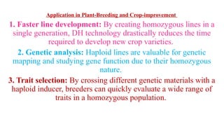 haploid induction.pptx for commercial breeding | PPTX