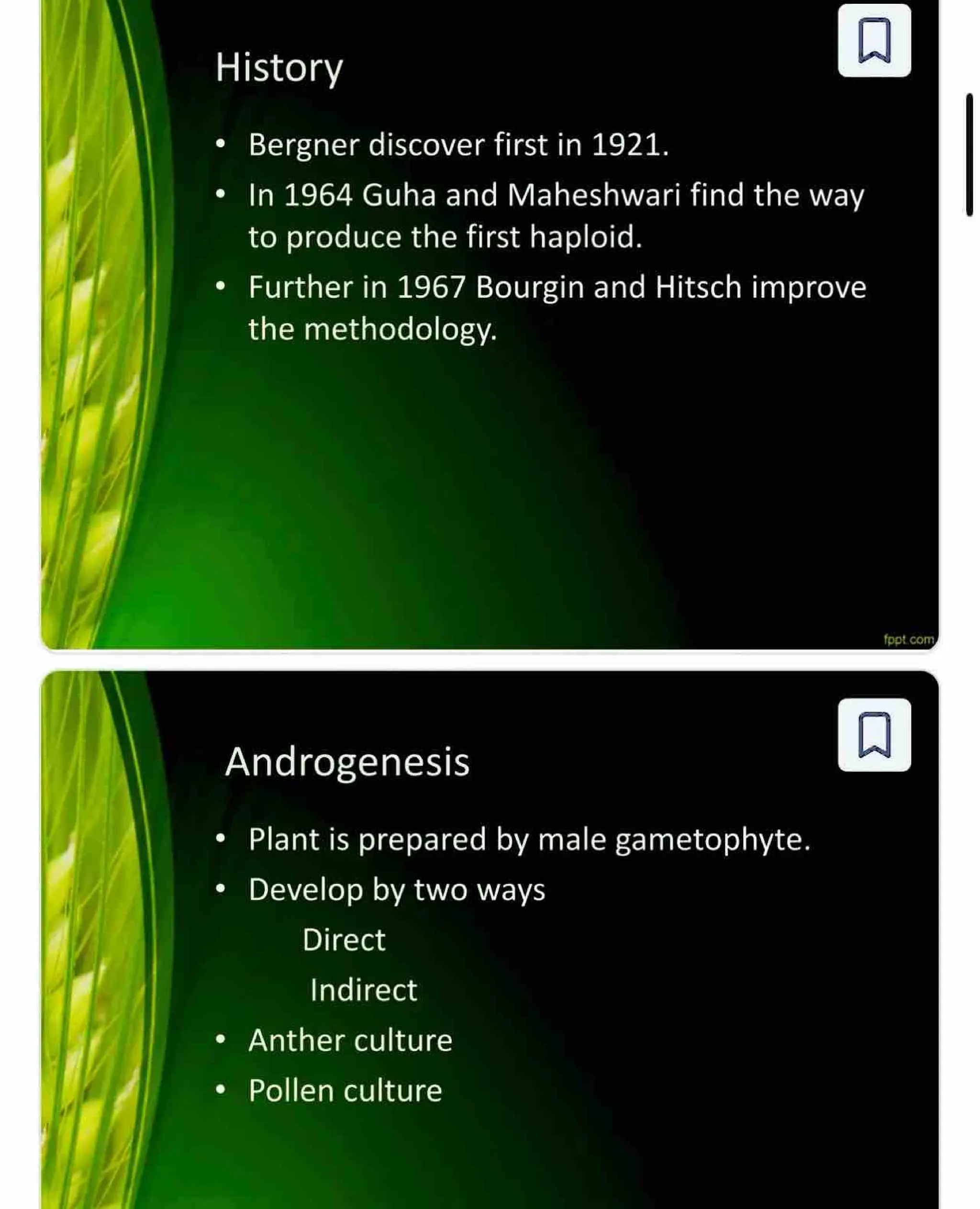 information about haploid plants production | PDF