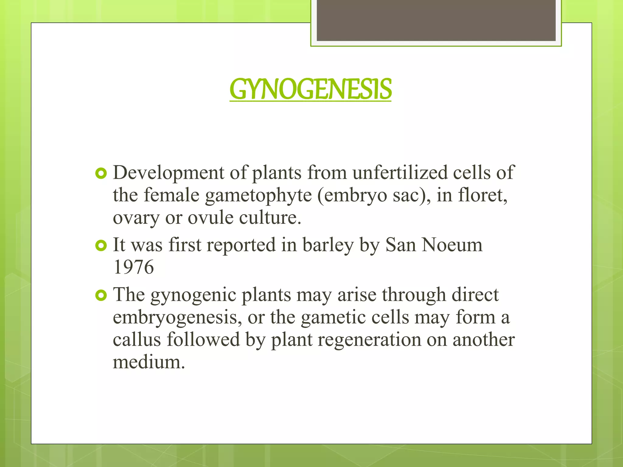 GYNOGENESIS
 Development of plants from unfertilized cells of
the female gametophyte (embryo sac), in floret,
ovary or ovule culture.
 It was first reported in barley by San Noeum
1976
 The gynogenic plants may arise through direct
embryogenesis, or the gametic cells may form a
callus followed by plant regeneration on another
medium.
 