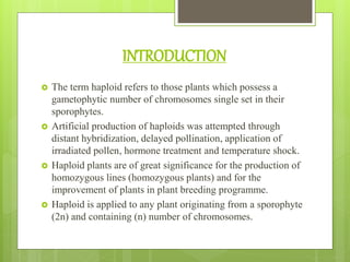 INTRODUCTION
 The term haploid refers to those plants which possess a
gametophytic number of chromosomes single set in their
sporophytes.
 Artificial production of haploids was attempted through
distant hybridization, delayed pollination, application of
irradiated pollen, hormone treatment and temperature shock.
 Haploid plants are of great significance for the production of
homozygous lines (homozygous plants) and for the
improvement of plants in plant breeding programme.
 Haploid is applied to any plant originating from a sporophyte
(2n) and containing (n) number of chromosomes.
 