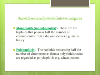 Haploids are broadlydivided into two categories
 Monoploids (monohapioids):- These are the
haploids that possess half the number of
chromosomes from a diploid species e.g. maize,
barley.
 Polyhaploids:- The haploids possessing half the
number of chromosomes from a polyploid species
are regarded as polyhaploids e.g. wheat, potato.
 